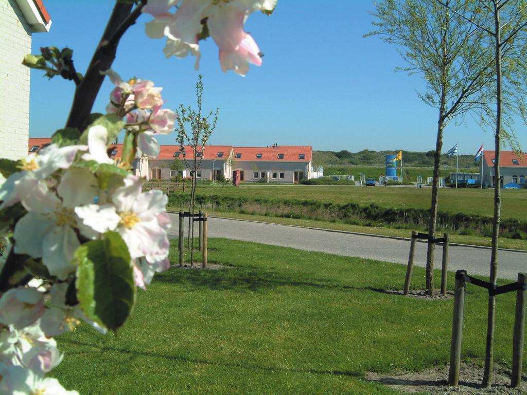 De Soeten Haert Hotell Renesse Eksteriør bilde